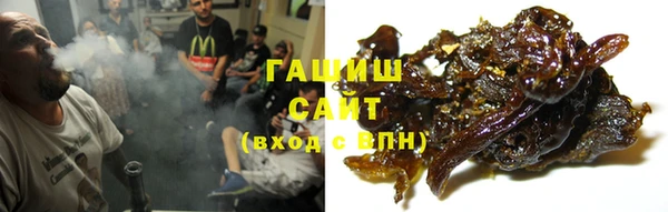 хмурый Рославль