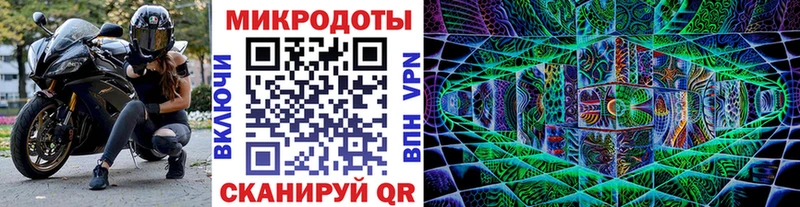 Галлюциногенные грибы Psilocybe купить наркоту Бирск