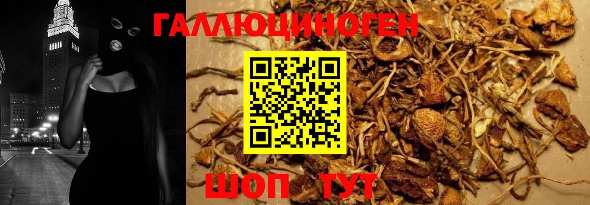 Галлюциногенные грибы Magic Shrooms Бирск