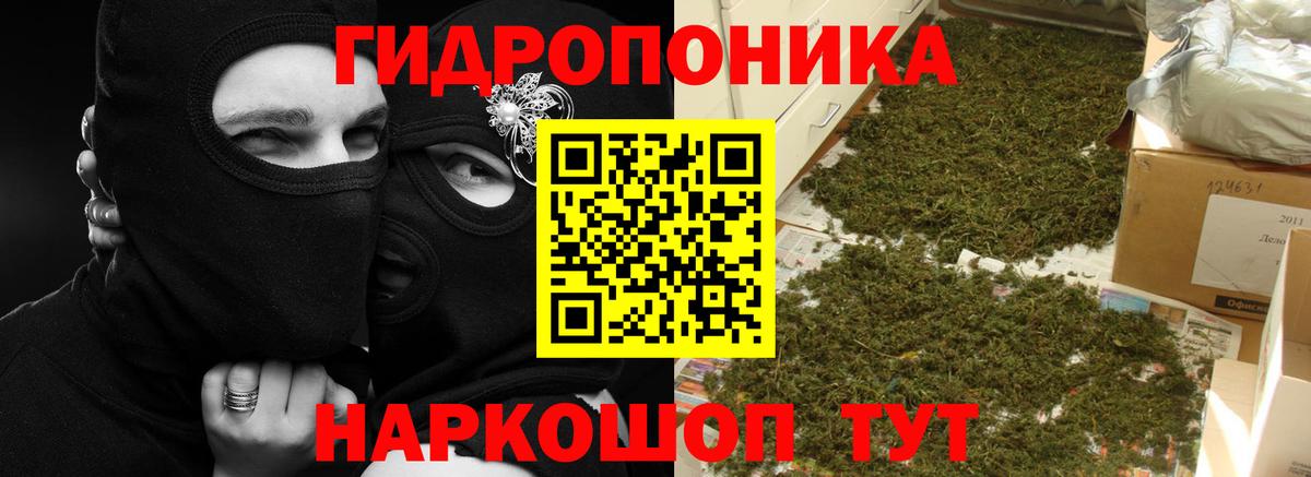 Конопля White Widow Бирск